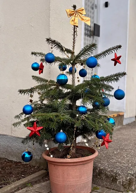 Foto aus 2025-12 Weihnachtsfeier Album